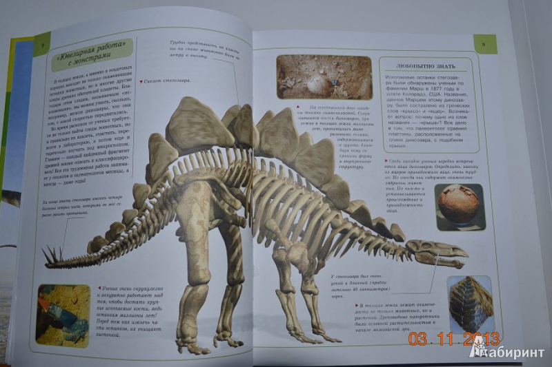 Иллюстрация 3 из 34 для Динозавры | Лабиринт - книги. Источник: Кочкина  Екатерина