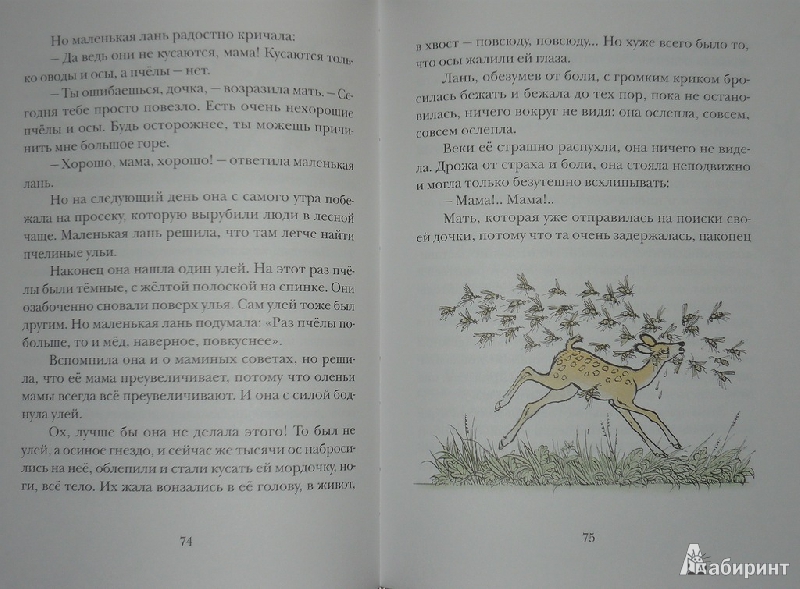 Иллюстрация 51 из 73 для Сказки сельвы: сказки о животных - Орасио Кирога | Лабиринт - книги. Источник: Ромашка:-)