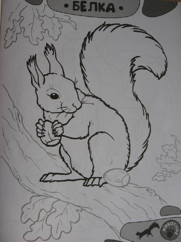 Иллюстрация 1 из 15 для Я учусь рисовать! Животные | Лабиринт - книги. Источник: Юта