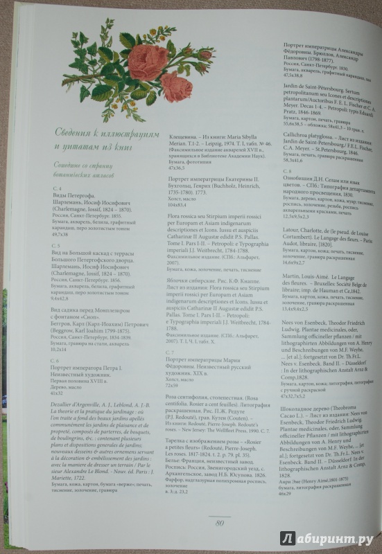 Иллюстрация 19 из 34 для Мода на ботанику. Цветочный мир Петергофа - Волкова, Трубановская | Лабиринт - книги. Источник: Книжный кот