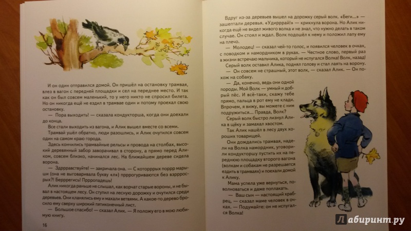 Иллюстрация 52 из 52 для Палочка с шариком - Вера Смирнова | Лабиринт - книги. Источник: RoMamka