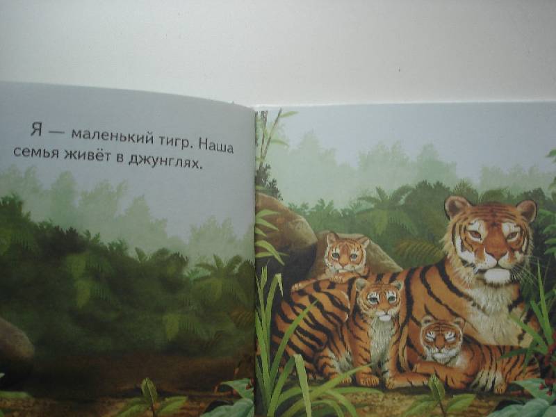 Иллюстрация 5 из 9 для Тигренок и его друзья - Динара Селиверстова | Лабиринт - книги. Источник: Nett