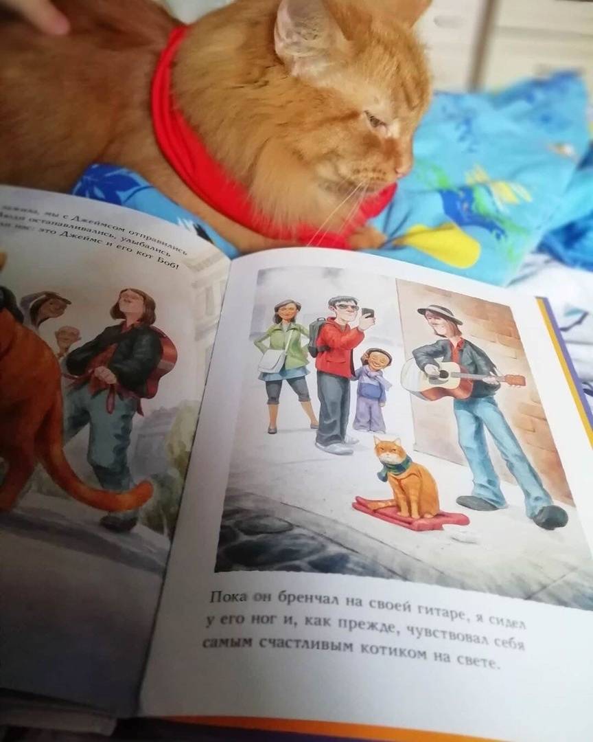 Иллюстрация 62 из 69 для Кот по имени Боб - Боуэн, Дженкинс | Лабиринт - книги. Источник: Отзывы читателей