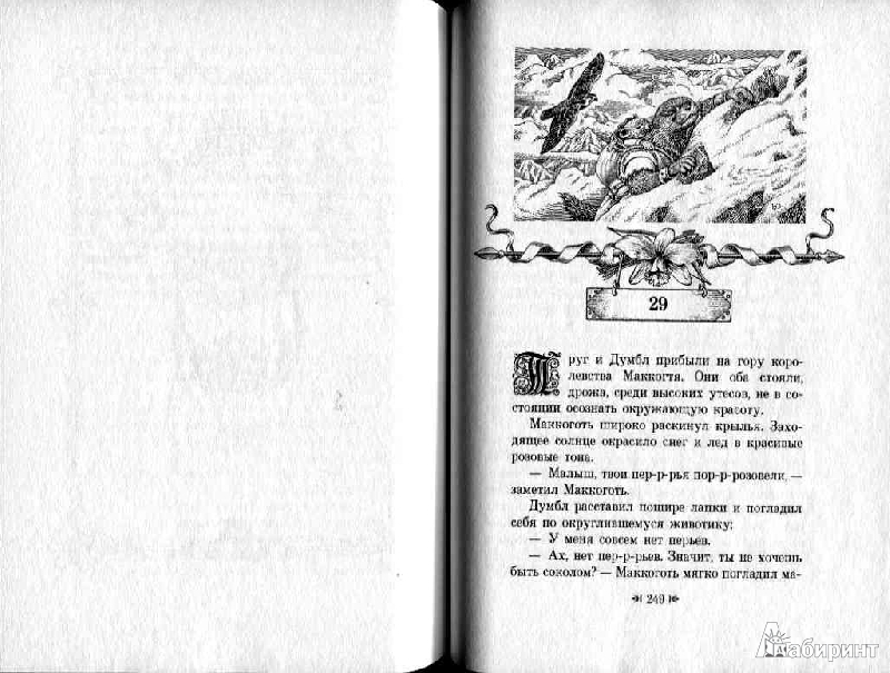 Иллюстрация 18 из 24 для Саламандастрон - Брайан Джейкс | Лабиринт - книги. Источник: Дочкин  Сергей Александрович