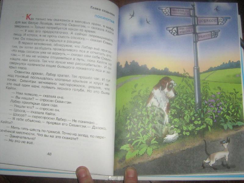 Иллюстрация 9 из 36 для Найти белую лошадь - Дик Кинг-Смит | Лабиринт - книги. Источник: Ляпина  Ольга Станиславовна