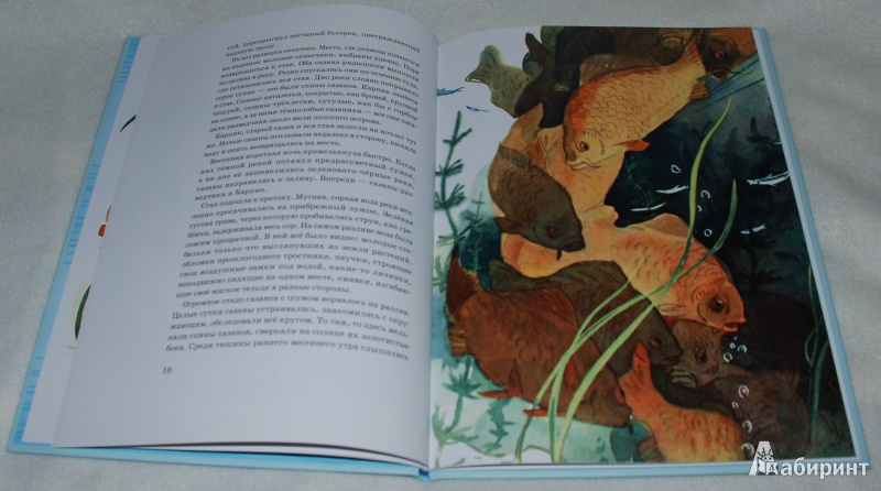 Иллюстрация 30 из 65 для Приключения Карпика - Андрей Клыков | Лабиринт - книги. Источник: Книжный кот