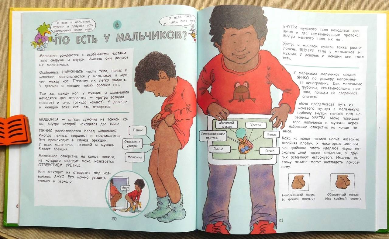 Иллюстрация 84 из 89 для Давай поговорим про ЭТО. О девочках, мальчиках, младенцах, семьях и теле - Роби Харрис | Лабиринт - книги. Источник: Годовёнок