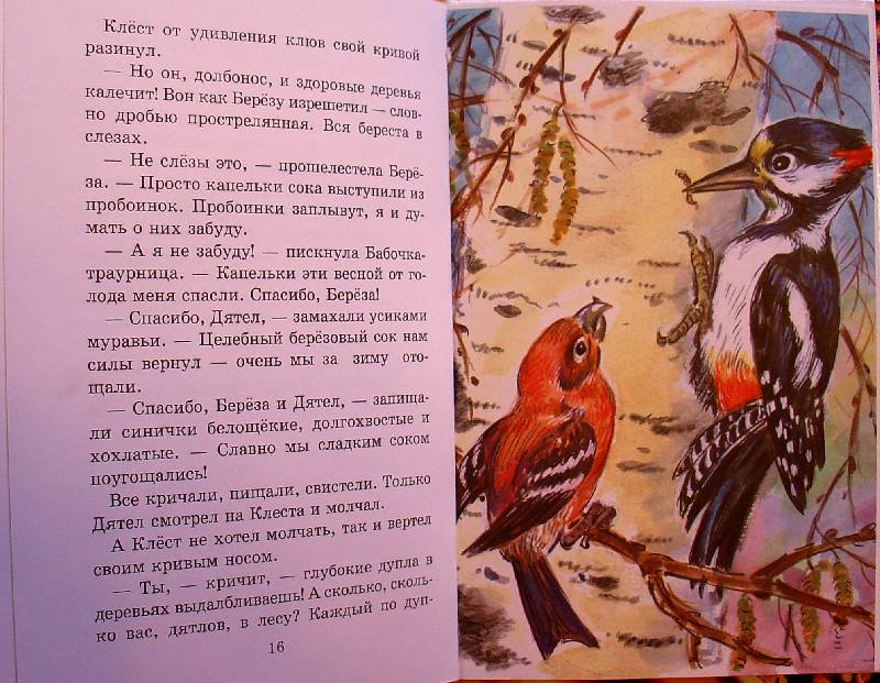 Иллюстрация 8 из 11 для Лесные сказки - Николай Сладков | Лабиринт - книги. Источник: samuel whiskers