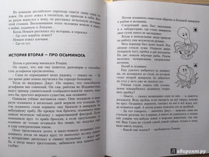Иллюстрация 14 из 34 для Подводные приключения - Святослав Сахарнов | Лабиринт - книги. Источник: Лиса Олеся