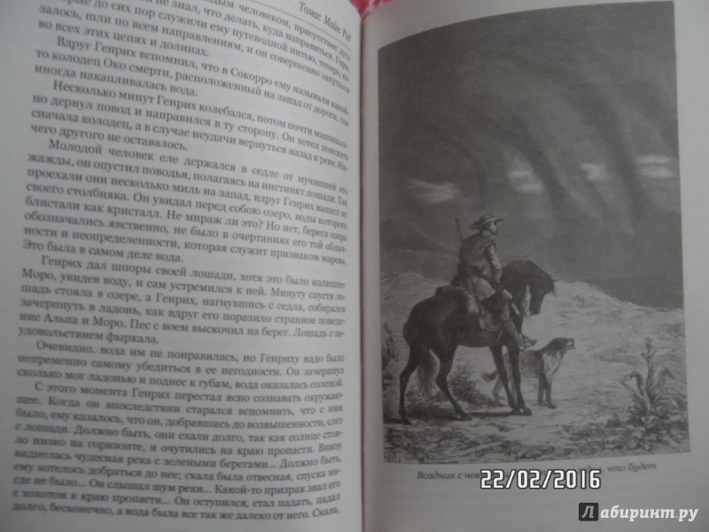 Иллюстрация 32 из 54 для Охотники за скальпами - Рид Майн | Лабиринт - книги. Источник: Костырченко  Александра Сергеевна