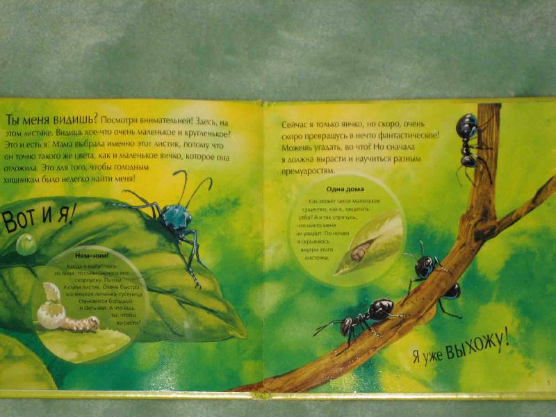 Иллюстрация 2 из 10 для Лети, бабочка, лети! | Лабиринт - книги. Источник: Трухина Ирина