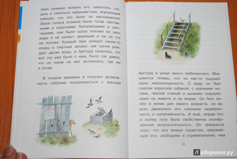 Иллюстрация 14 из 32 для Арктур - гончий пёс - Юрий Казаков | Лабиринт - книги. Источник: Нади