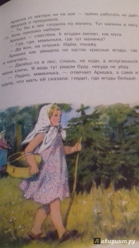 Иллюстрация 9 из 24 для Аришка-трусишка - Виталий Бианки | Лабиринт - книги. Источник: Жигайло  Юлия Алексеевна