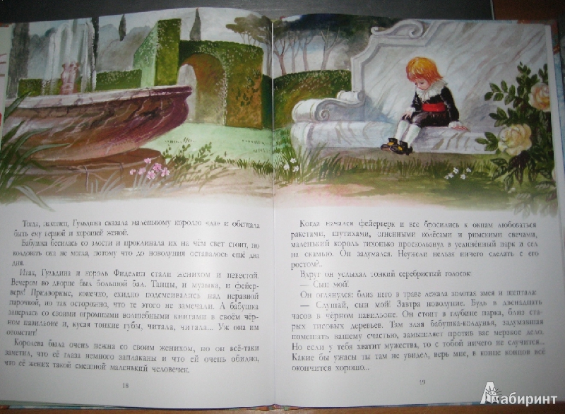 Иллюстрация 28 из 43 для Сказки о принцессах, королях и колдунах | Лабиринт - книги. Источник: Макарова  Елена