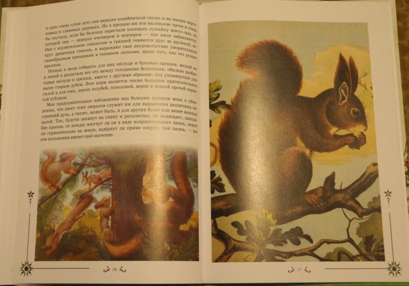 Иллюстрация 5 из 11 для Интересные рассказы о животных | Лабиринт - книги. Источник: Mamulechka