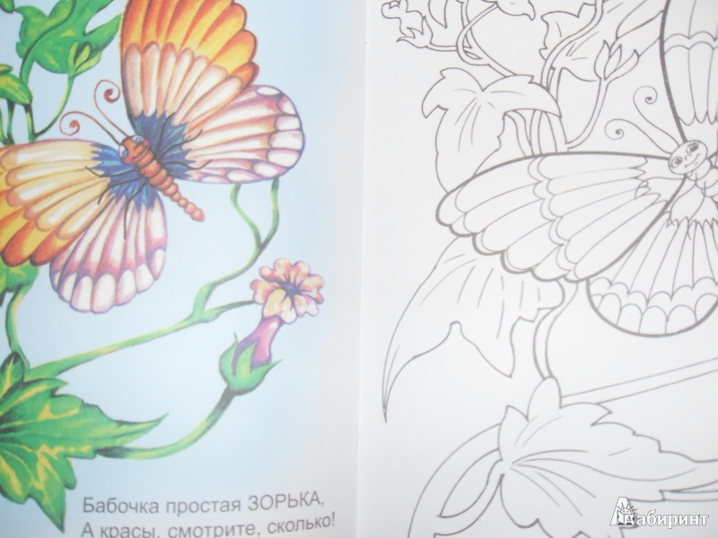 Иллюстрация 10 из 21 для Знакомимся с бабочками - Юрий Чичев | Лабиринт - книги. Источник: knigolyub