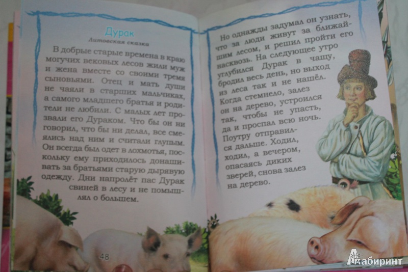 Иллюстрация 24 из 24 для Розовая книга | Лабиринт - книги. Источник: Шульгина  Анастасия Сергеевна