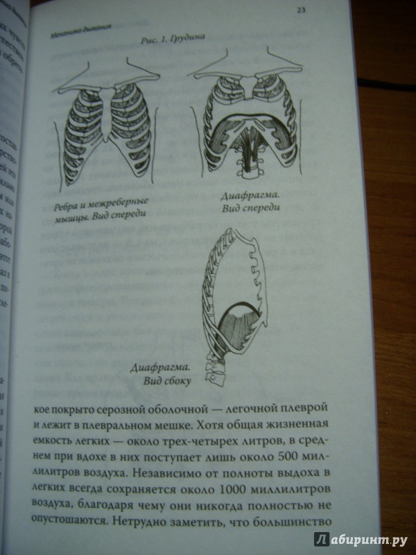 Иллюстрация 9 из 13 для Дао естественного дыхания: истинный путь к здоровью и долголетию - Деннис Льюис | Лабиринт - книги. Источник: mulder