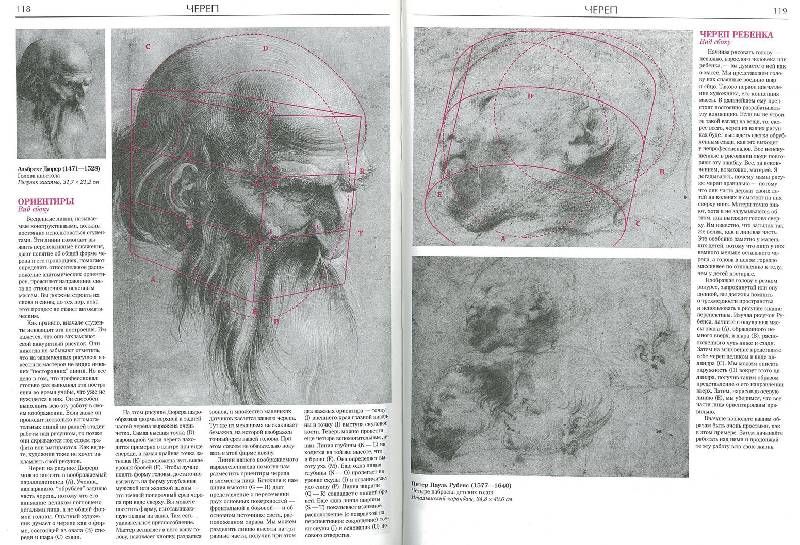 Иллюстрация 55 из 55 для Изображение человеческой фигуры: Мастер-класс - Роберт Хейл | Лабиринт - книги. Источник: GallaL