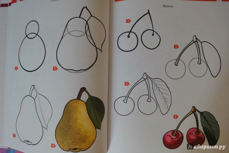 Иллюстрация 22 из 38 для Учебник рисования для начинающих - Наталья Терещенко | Лабиринт - книги. Источник: Юлия