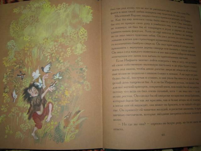 Иллюстрация 40 из 40 для Мальчик-Звезда: Сказки - Оскар Уайльд | Лабиринт - книги. Источник: Tais