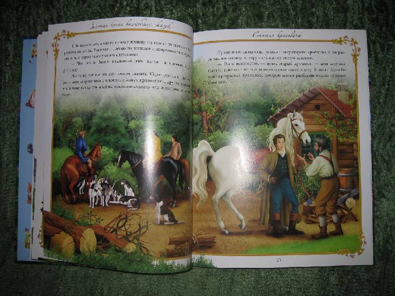 Иллюстрация 26 из 27 для Золотая книга волшебных сказок | Лабиринт - книги. Источник: Валова Юлия Николаевна