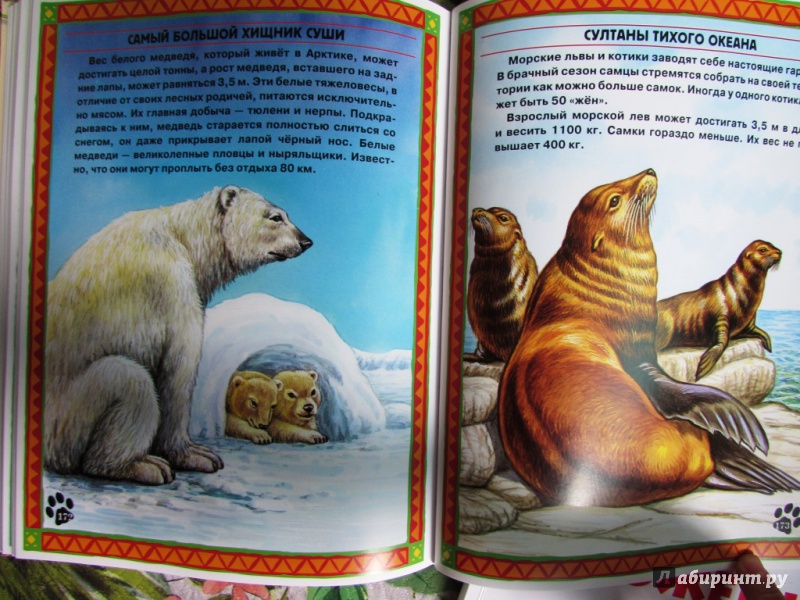 Иллюстрация 11 из 17 для Большие и маленькие. Интересные факты о животных | Лабиринт - книги. Источник: настя тимарг
