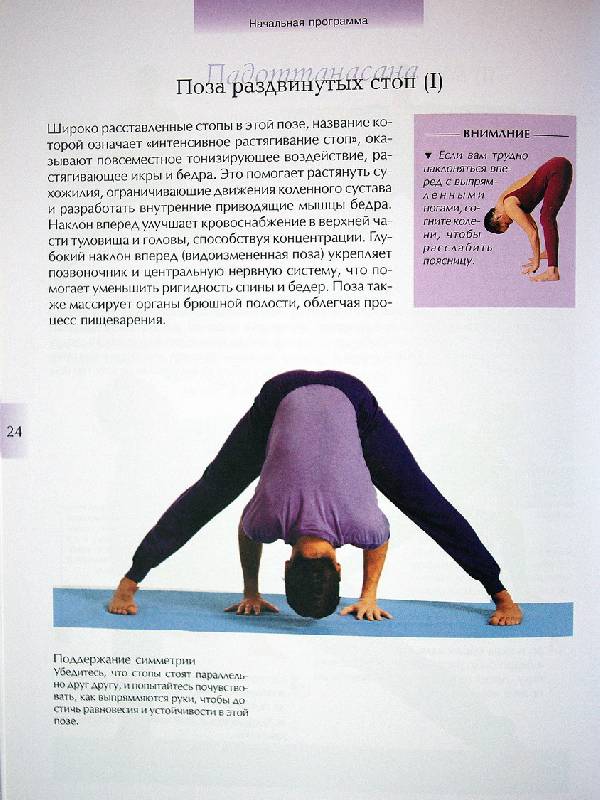 Иллюстрация 11 из 21 для Йога для начинающих - Ансари, Ларк | Лабиринт - книги. Источник: Валерия