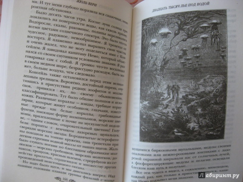 Иллюстрация 33 из 40 для Двадцать тысяч лье под водой - Жюль Верн | Лабиринт - книги. Источник: Рассказов  Александр
