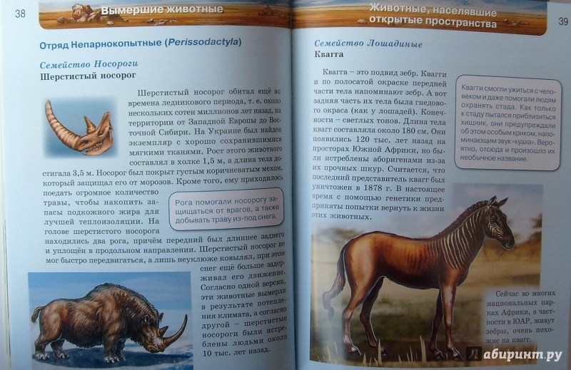 Иллюстрация 13 из 41 для Вымершие животные | Лабиринт - книги. Источник: Соловьев  Владимир