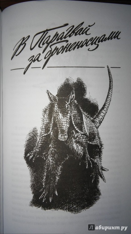 Иллюстрация 18 из 32 для В поисках дракона - Дэвид Аттенборо | Лабиринт - книги. Источник: WhiteOwl
