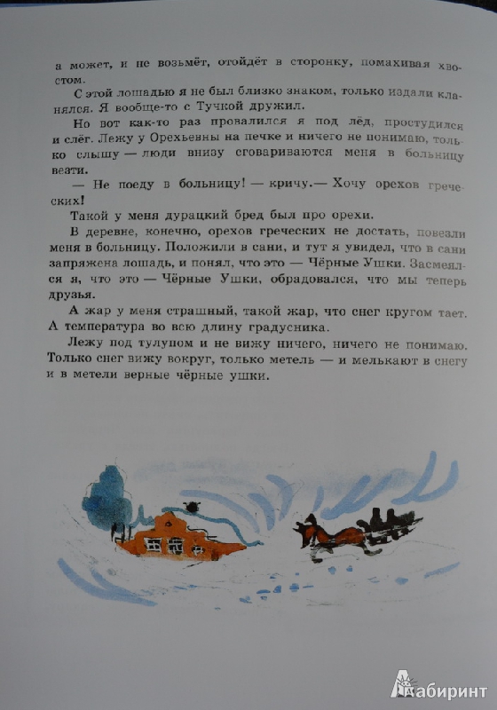 Иллюстрация 35 из 48 для Снег - Юрий Коваль | Лабиринт - книги. Источник: Irichka