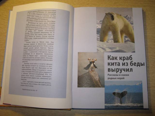 Иллюстрация 6 из 30 для Это стучит сердце кита - Святослав Сахарнов | Лабиринт - книги. Источник: Floksi