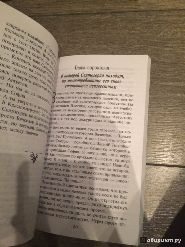 Иллюстрация 26 из 28 для Святогорец - Всеволод Инок | Лабиринт - книги. Источник: Светлана