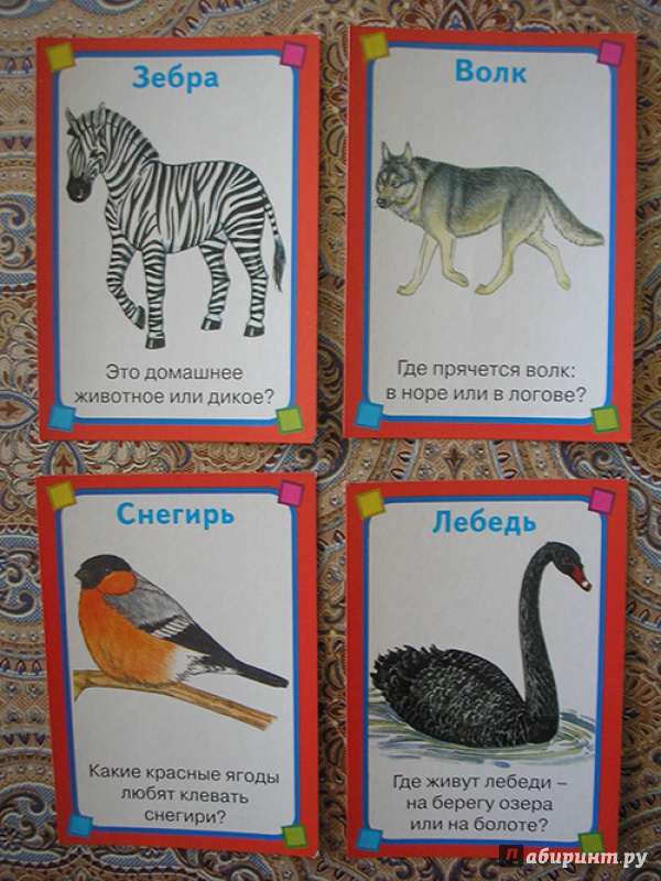 Иллюстрация 7 из 10 для Животные. Набор развивающих карточек | Лабиринт - книги. Источник: Nataykasheva