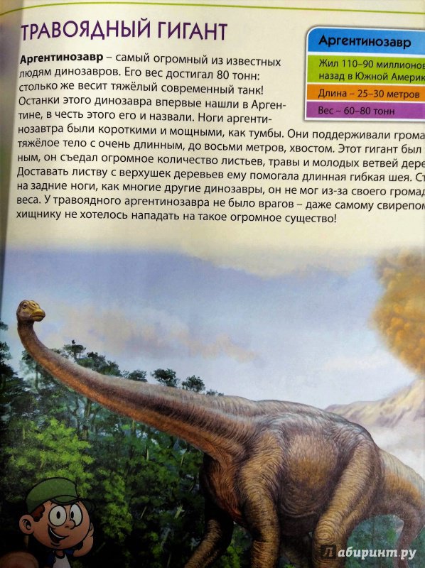 Иллюстрация 8 из 26 для Динозавры. Первая книга с большими буквами - Елена Гриценко | Лабиринт - книги. Источник: Савчук Ирина