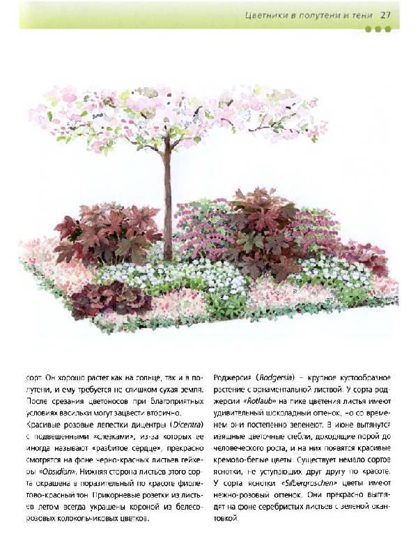 Иллюстрация 8 из 35 для Красивые цветники в вашем саду - Хельга Гроппер | Лабиринт - книги. Источник: lexus
