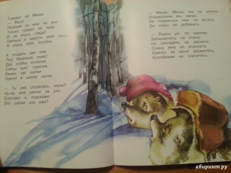Иллюстрация 28 из 34 для Сон медведя-шатуна - Елена Родченкова | Лабиринт - книги. Источник: Ангелина