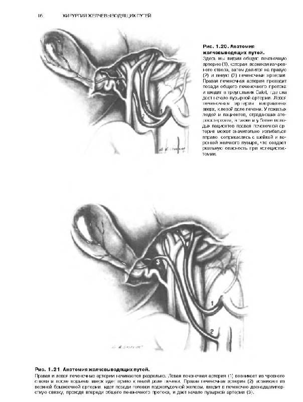 Иллюстрация 2 из 44 для Атлас абдоминальной хирургии. Том 1. Хирургия печени, желчных путей, поджелудочной железы - Эмилио Итала | Лабиринт - книги. Источник: Юта