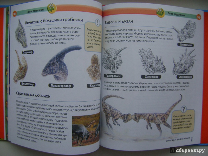 Иллюстрация 31 из 48 для Динозавры - Мария Боцци | Лабиринт - книги. Источник: Саша Юрина