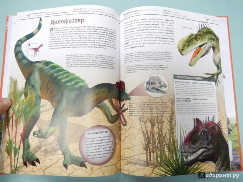 Иллюстрация 11 из 21 для Динозавры - Виктория Владимирова | Лабиринт - книги. Источник: dbyyb