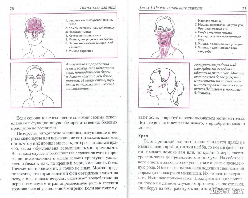 Иллюстрация 7 из 8 для Гимнастика для лица - Бенита Кантиени | Лабиринт - книги. Источник: GallaL