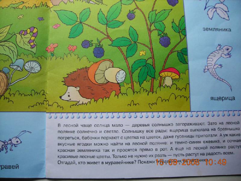 Иллюстрация 17 из 19 для На лесной полянке. Занятия с детьми 2-3 лет | Лабиринт - книги. Источник: Плахова  Татьяна