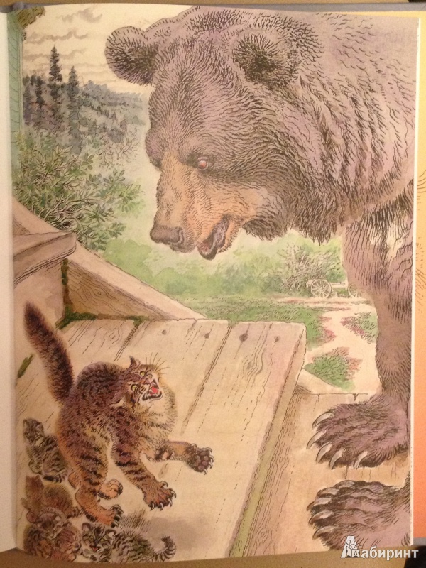 Иллюстрация 15 из 45 для Медвежонок Джонни - Эрнест Сетон-Томпсон | Лабиринт - книги. Источник: solne4naja