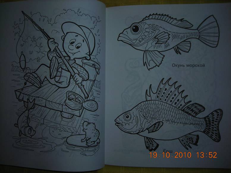 Иллюстрация 6 из 10 для Супер-раскраска для девочек | Лабиринт - книги. Источник: Плахова  Татьяна