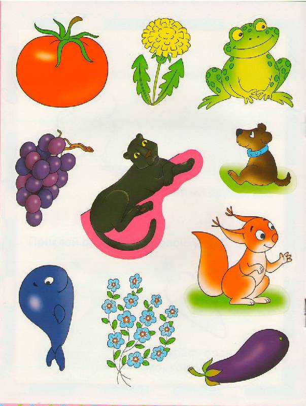 Иллюстрация 6 из 19 для Цвет - Е. Шарикова | Лабиринт - книги. Источник: Alerka