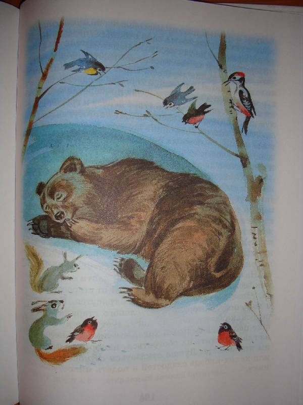 Иллюстрация 32 из 37 для Стихи и рассказы о природе | Лабиринт - книги. Источник: Нинуля