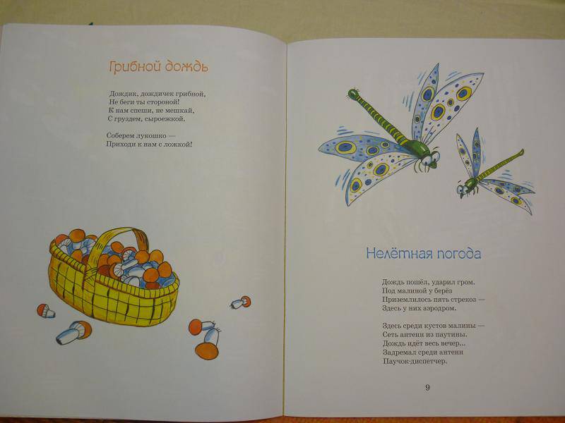 Иллюстрация 4 из 20 для Солнечная Чашка - Раиса Куликова | Лабиринт - книги. Источник: МарусяЯ