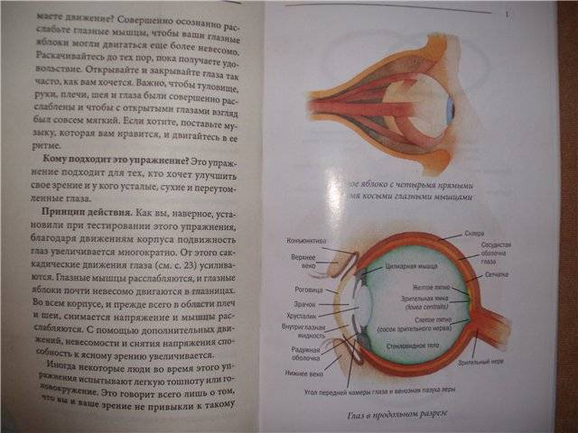 Иллюстрация 13 из 13 для Как улучшить зрение - Уши Остермайер-Ситковски | Лабиринт - книги. Источник: Мама