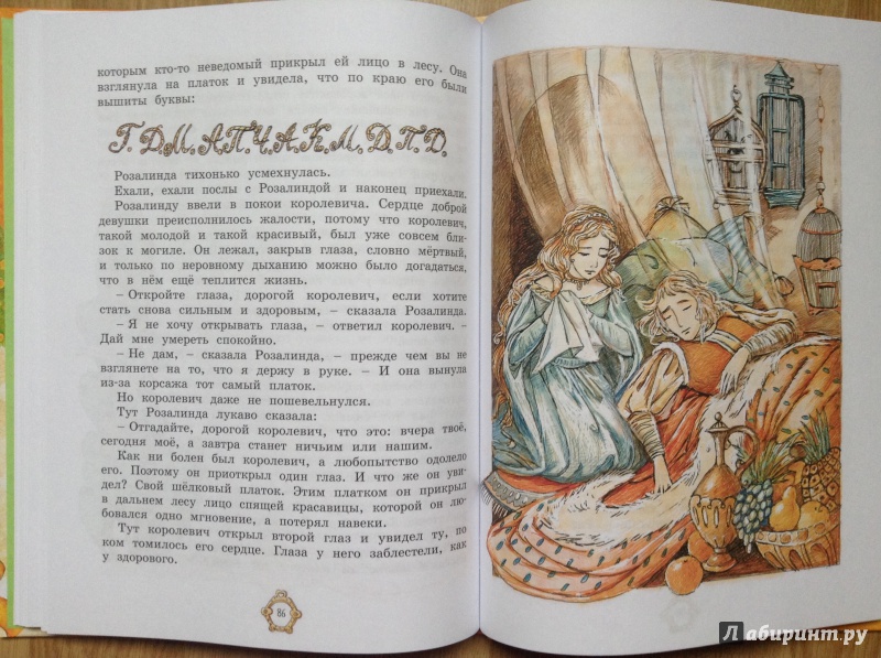 Иллюстрация 23 из 43 для Принцесса из Апельсина | Лабиринт - книги. Источник: Умная Дуня